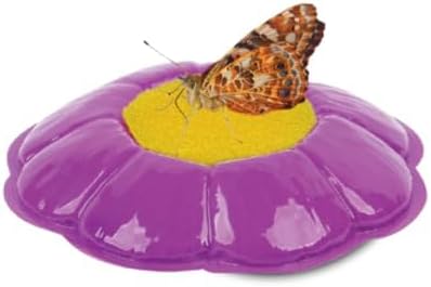 Insect Lore Butterfly Garden Kit, Painted Lady Butterfly Kit with Voucher for Live Caterpillars, Butterfly Habitat, STEM Journal & More Visit the Insect Lore Store
