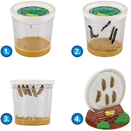 Insect Lore Butterfly Garden Kit, Painted Lady Butterfly Kit with Voucher for Live Caterpillars, Butterfly Habitat, STEM Journal & More Visit the Insect Lore Store