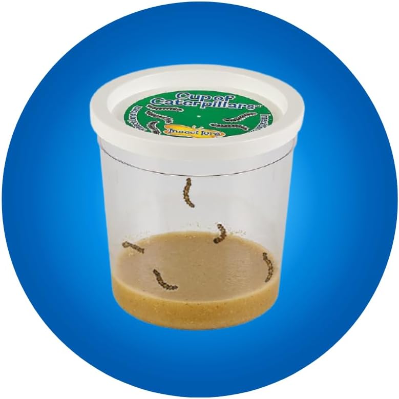 Insect Lore Butterfly Garden Kit, Painted Lady Butterfly Kit with Voucher for Live Caterpillars, Butterfly Habitat, STEM Journal & More Visit the Insect Lore Store