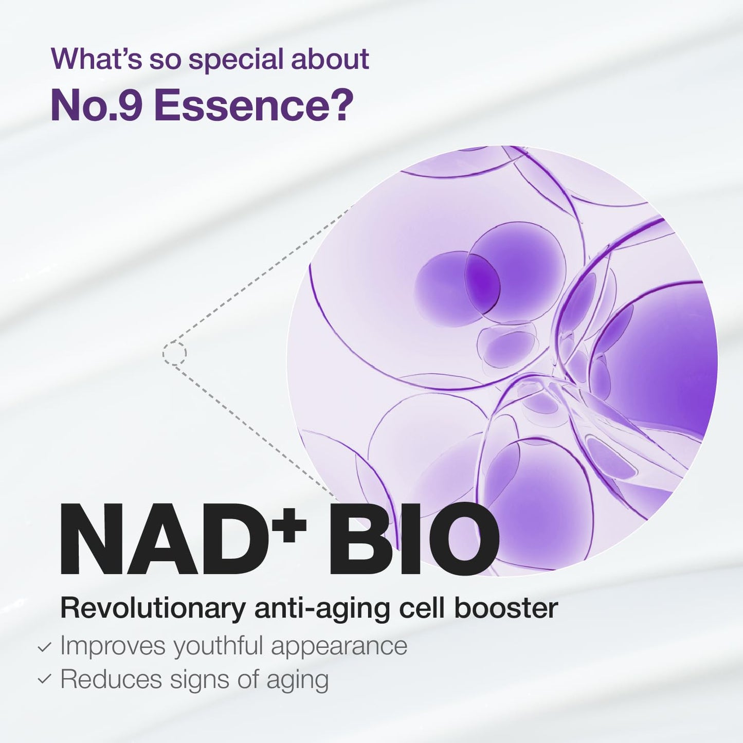 Numbuzin No.9 Essence | NAD+ BIO Lifting Serum for Firming & Wrinkles | 1.69 fl. oz.