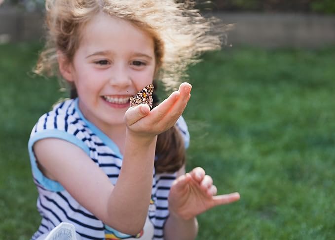Insect Lore Butterfly Garden Kit, Painted Lady Butterfly Kit with Voucher for Live Caterpillars, Butterfly Habitat, STEM Journal & More Visit the Insect Lore Store