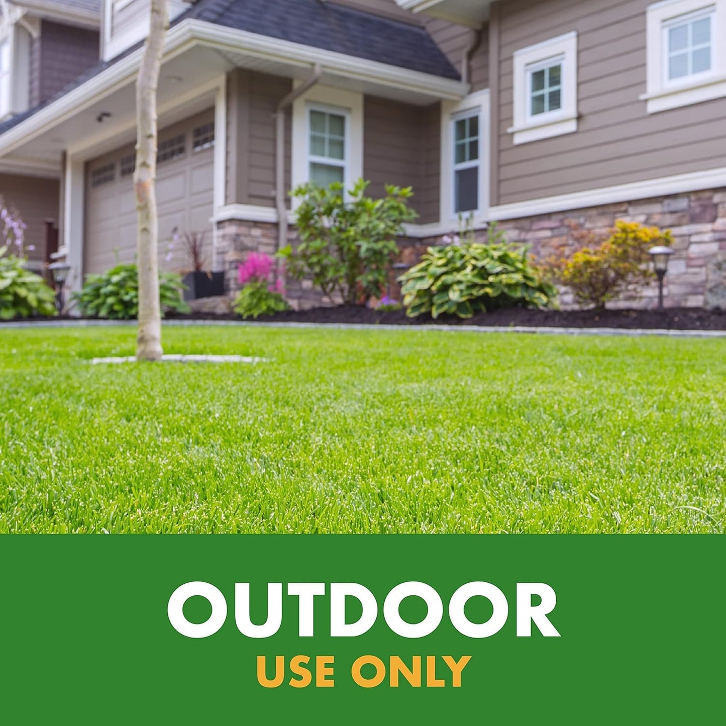 Spectracide Wasp & Hornet Killer Aerosol Kills Wasps, Hornets And Yellow Jackets On Contact & Eliminates The Nest, 12 Pack