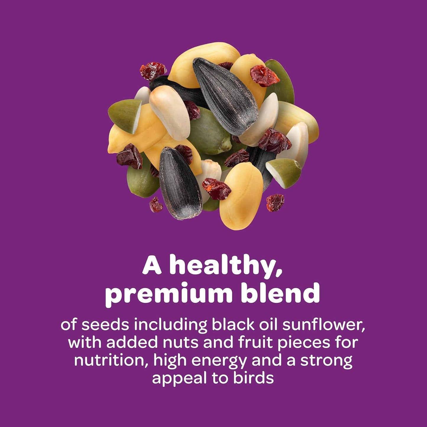 Kaytee Nut & Fruit Wild Bird Seed, 5 lb