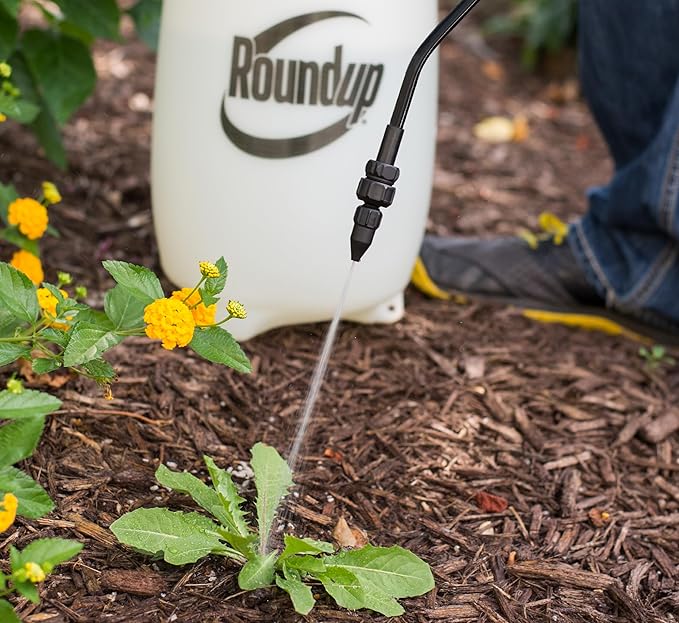 Roundup 190260 2-Gallon Lawn and Garden Sprayer for Controlling Insects and Weeds or Cleaning Decks and Siding