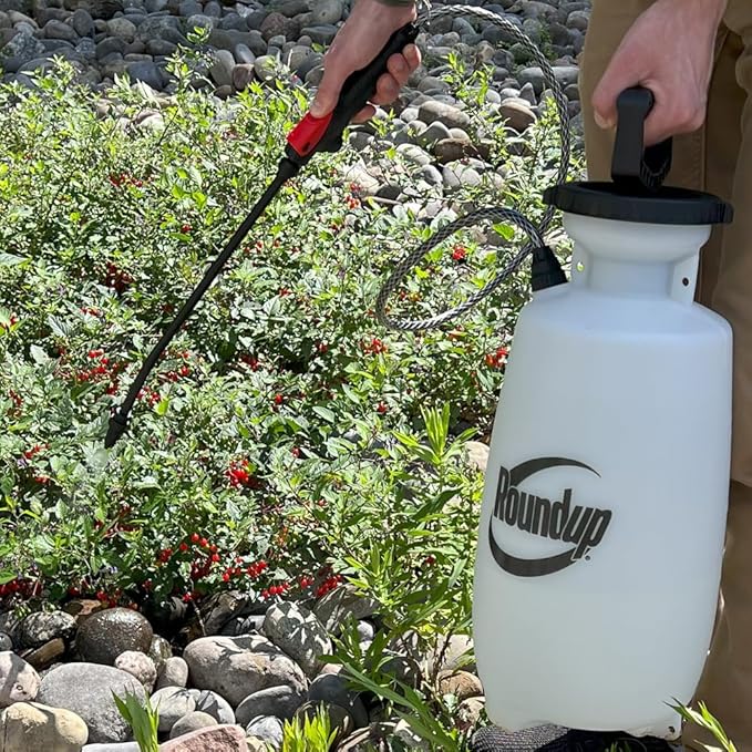 Roundup 190260 2-Gallon Lawn and Garden Sprayer for Controlling Insects and Weeds or Cleaning Decks and Siding