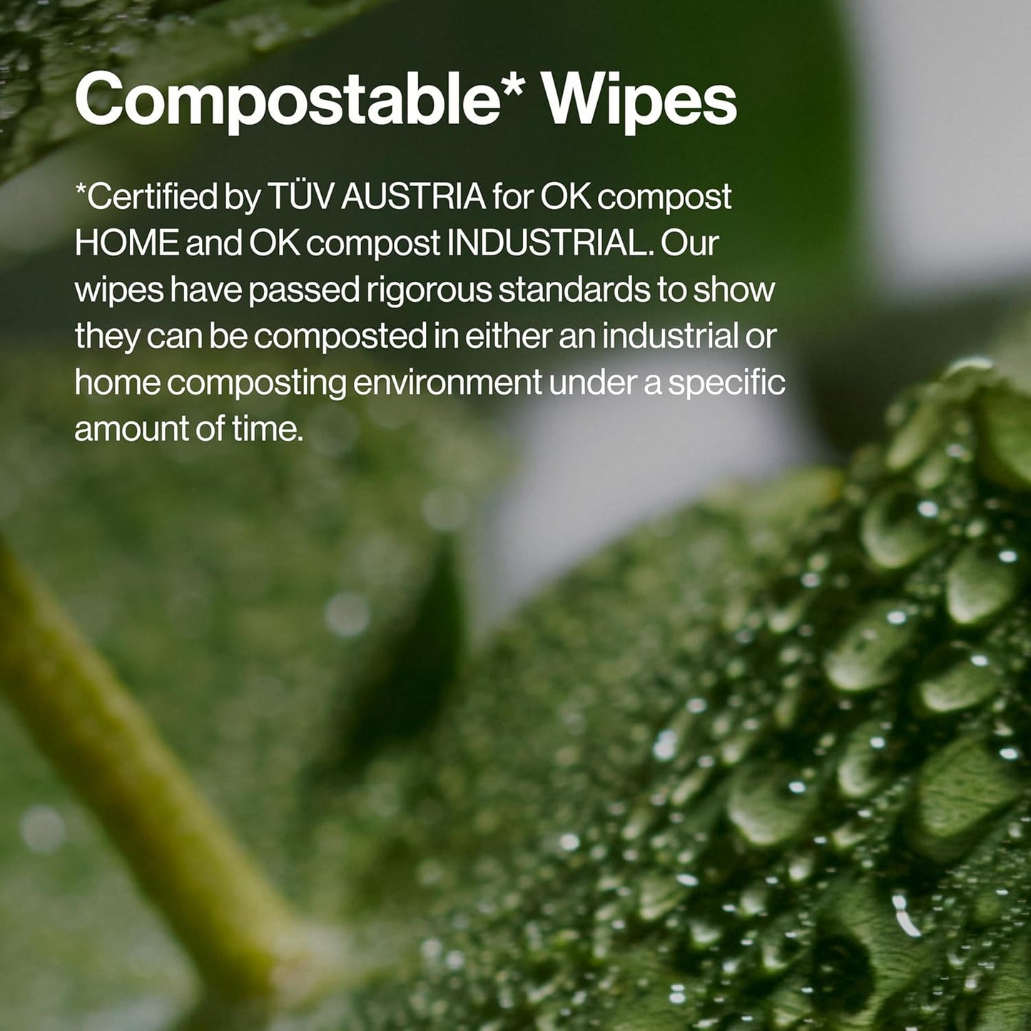 Honest Beauty Fragrance-Free Makeup Remover Wipes | Hypoallergenic, Plant-Based, 30 Count