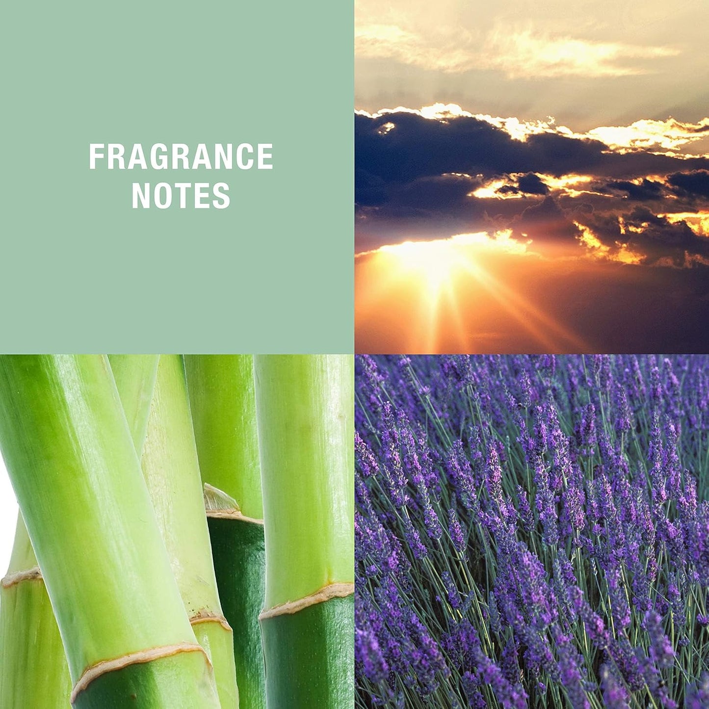 Curve Men's Cologne Fragrance Spray, Casual Cool Day or Night Scent, Curve Wave, 4.2 fl oz