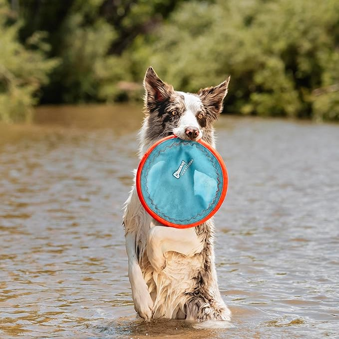 Chuckit! Paraflight Flying Disc Dog Toy - Water Floating Flyer - Durable Nylon Construction with Soft Rubber Edges - For Medium and Large Dogs - Size Large - 9.75" L x 9.75" W - Pack of 1