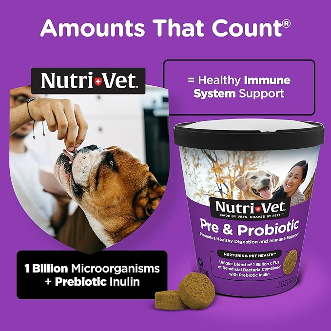 Nutri-Vet Pre & Probiotics for Dogs, Digestive Support, Upset Stomach, Puppy Probiotic, Pet Vitamins and Supplements, Dog Probiotics, Liver & Cheese Flavor, 120 Soft Chews