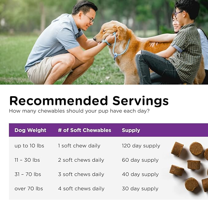 Nutri-Vet Pre & Probiotics for Dogs, Digestive Support, Upset Stomach, Puppy Probiotic, Pet Vitamins and Supplements, Dog Probiotics, Liver & Cheese Flavor, 120 Soft Chews