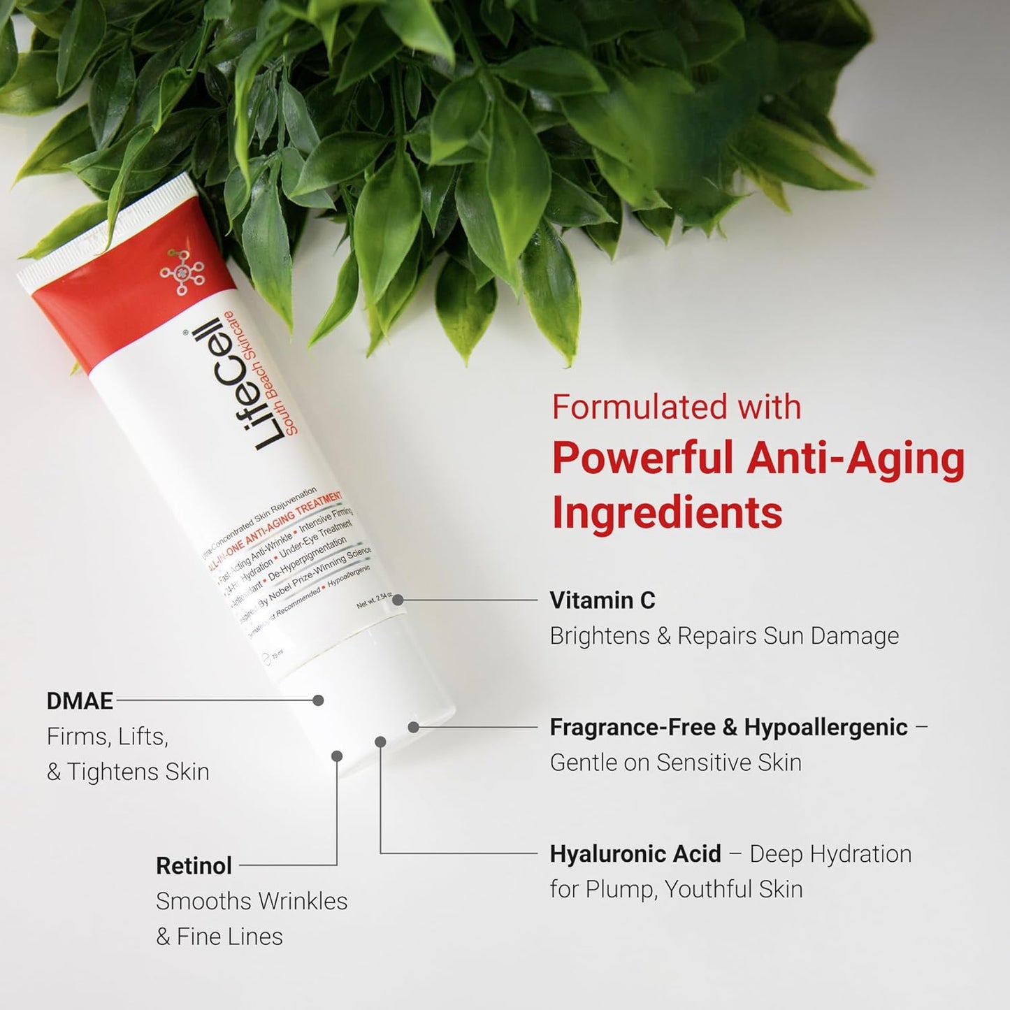 South Beach All-In-One Anti-Aging Treatment, 2.54oz – Firming & Hydrating Care