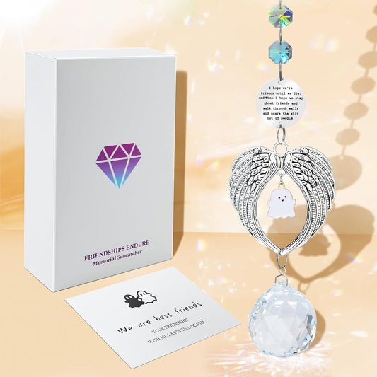 Friendship Gifts for Women,Unique Gifts for Best Friend,Funny Birthday Gift for Women,Long Distance Friendship Crystal,Memorial Suncatcher Gift for Best Friend/Sister/Classmate/Coworker