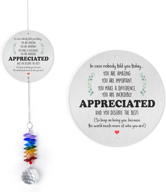 Aluminum Ornament Suncatcher - You are Appreciated - Inspirational Gift Ideas - Encouragement Christmas Ornament - Thank You Gifts for Women Men Friends - Appreciation Gifts for Coworker