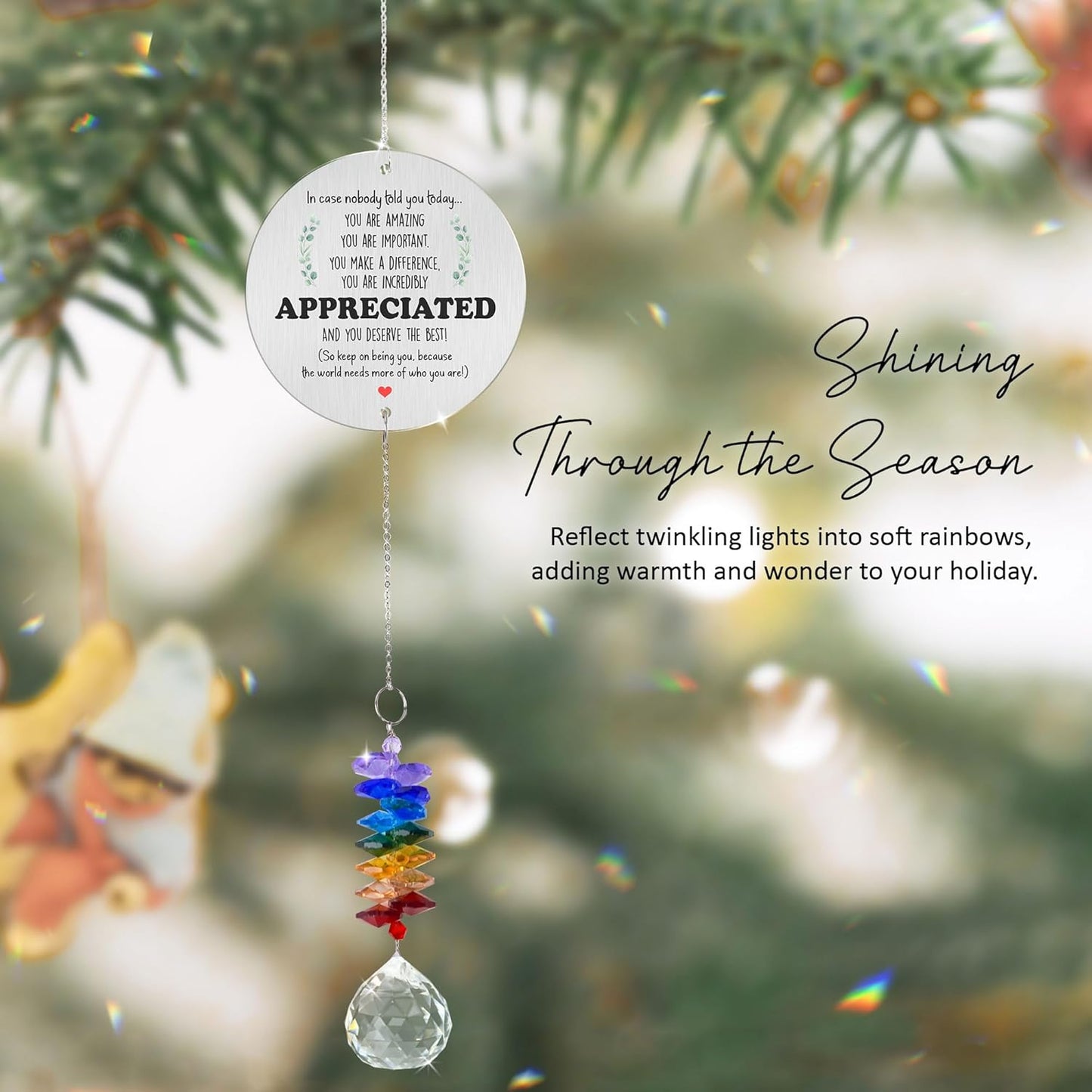 Aluminum Ornament Suncatcher - You are Appreciated - Inspirational Gift Ideas - Encouragement Christmas Ornament - Thank You Gifts for Women Men Friends - Appreciation Gifts for Coworker