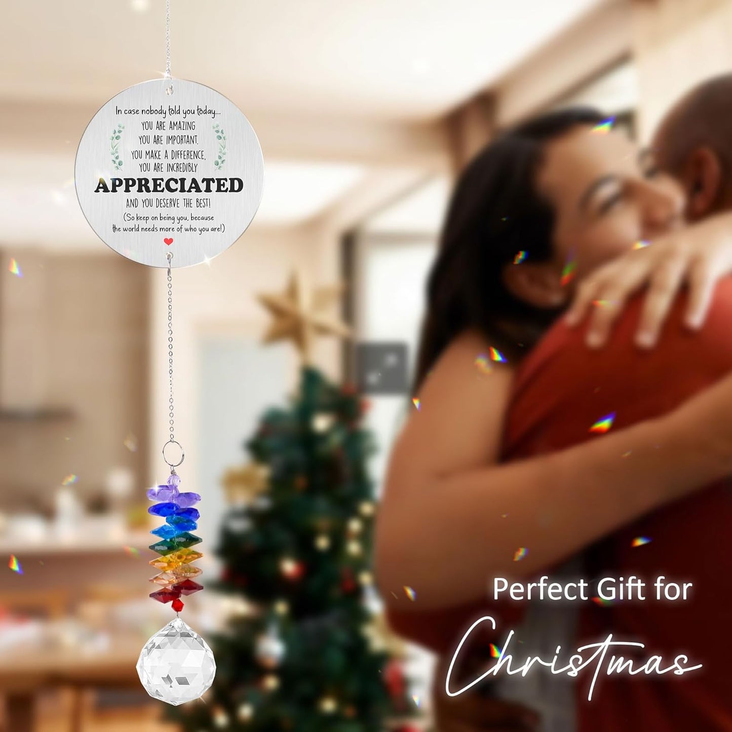 Aluminum Ornament Suncatcher - You are Appreciated - Inspirational Gift Ideas - Encouragement Christmas Ornament - Thank You Gifts for Women Men Friends - Appreciation Gifts for Coworker