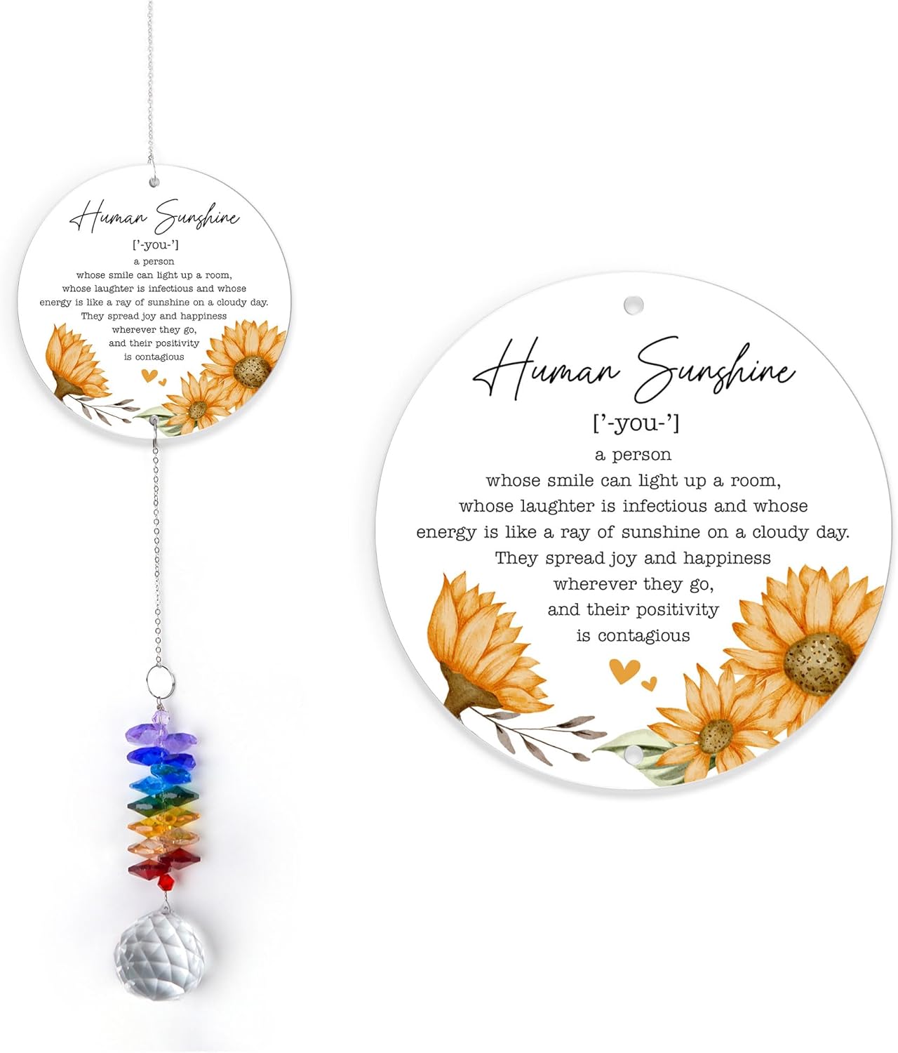 Aluminum Ornament Suncatcher - You are Appreciated - Inspirational Gift Ideas - Encouragement Christmas Ornament - Thank You Gifts for Women Men Friends - Appreciation Gifts for Coworker