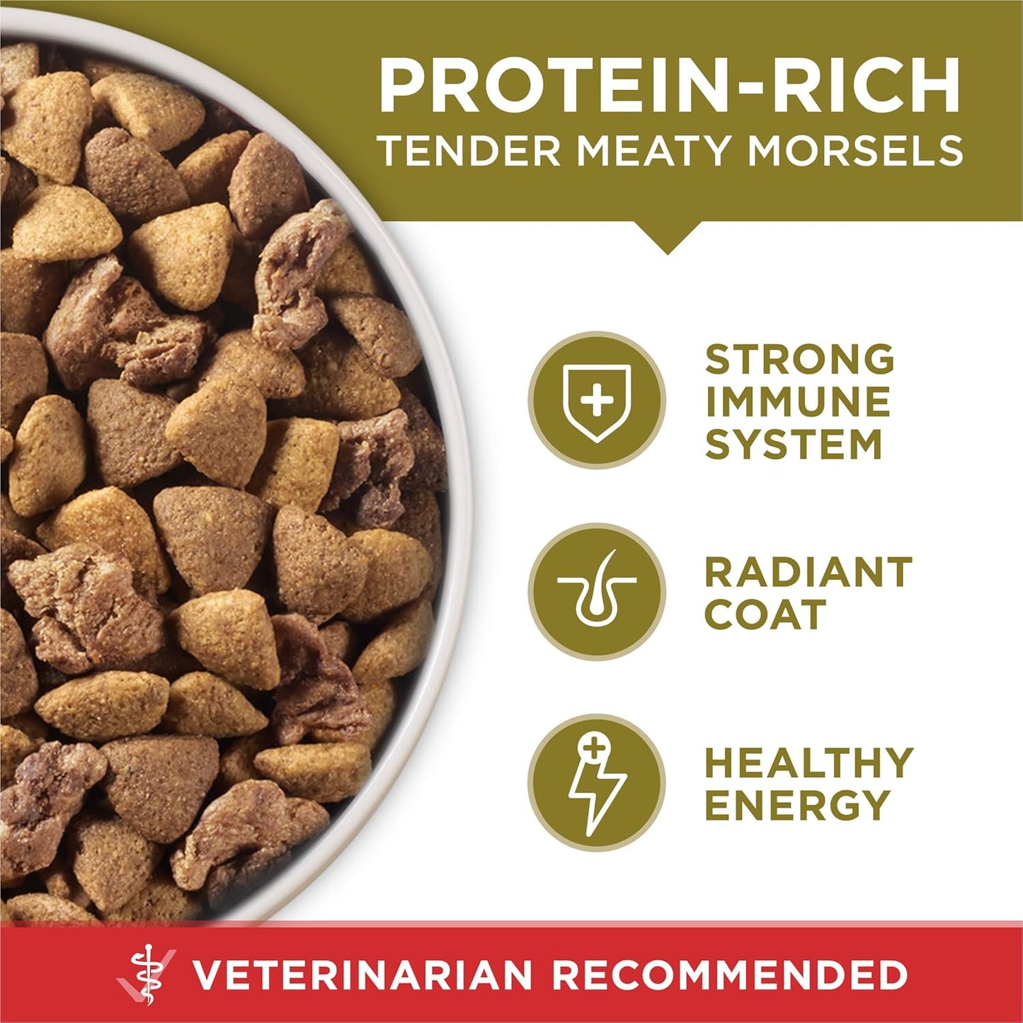 Purina ONE Dry Dog Food Lamb and Rice Formula - 8 lb. Bag
