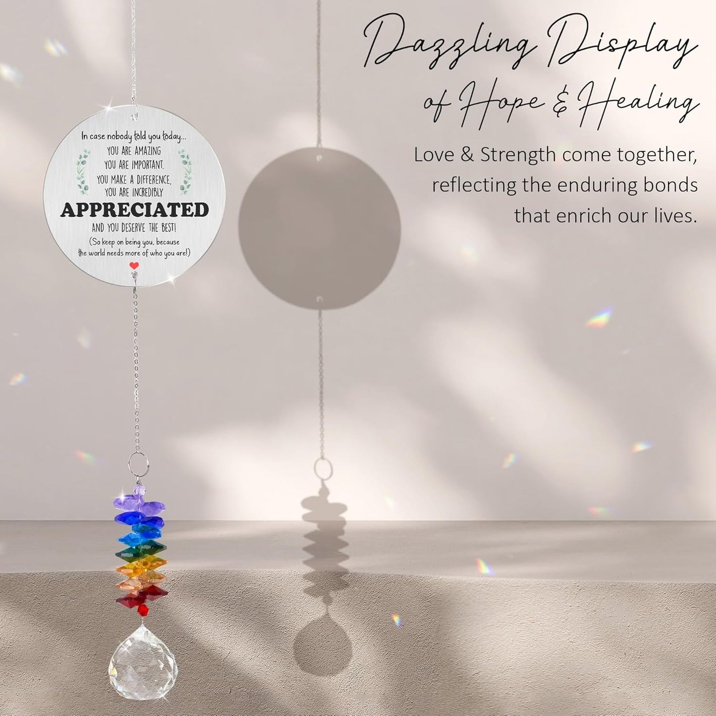 Aluminum Ornament Suncatcher - You are Appreciated - Inspirational Gift Ideas - Encouragement Christmas Ornament - Thank You Gifts for Women Men Friends - Appreciation Gifts for Coworker