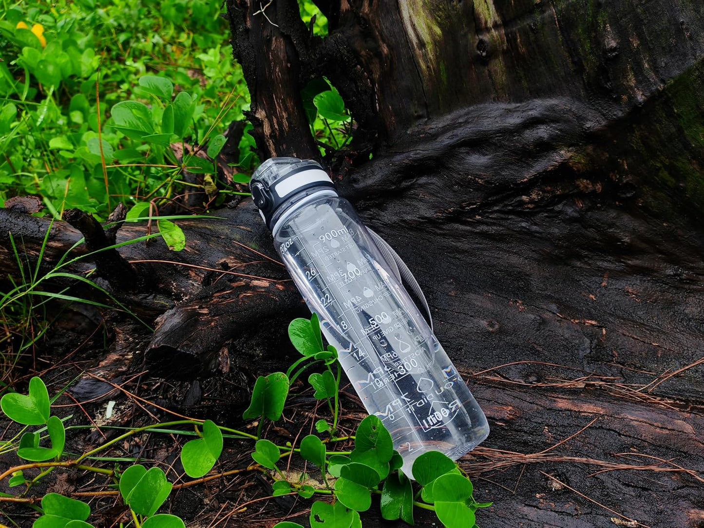 OLDLEY Water Bottle, 32oz Motivational Sports Water Bottle with Time Marker - Times to Drink - Tritan, BPA Free, Wide Mouth Leakproof, Clear (1 Bottle)